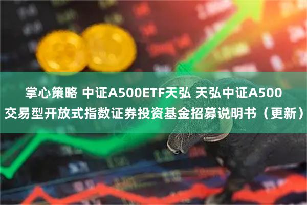 掌心策略 中证A500ETF天弘 天弘中证A500交易型开放式指数证券投资基金招募说明书（更新）