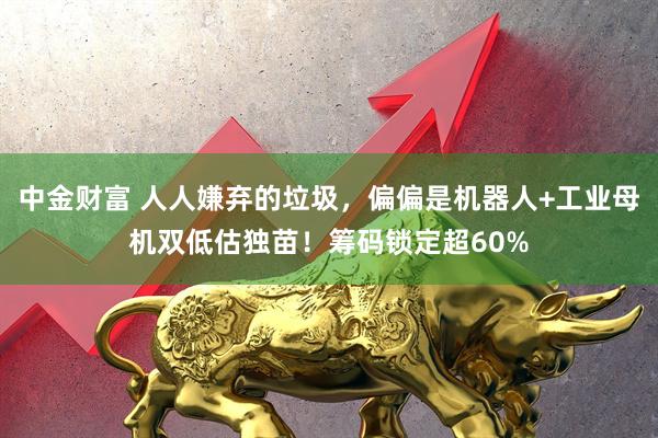 中金财富 人人嫌弃的垃圾，偏偏是机器人+工业母机双低估独苗！筹码锁定超60%